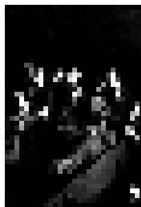 Sopor Aeternus & The Ensemble Of Shadows: Dead Lovers' Sarabande (Face One) (CD-Box) - Bild 1