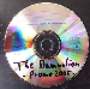 The Damnation: Promo 2005 (Promo-CD) - Bild 3