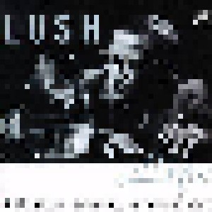 Lush Life: The Billy Strayhorn Songbook (CD) - Bild 1
