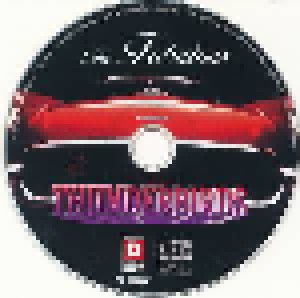 The Fabulous Thunderbirds: Collection (CD) - Bild 3