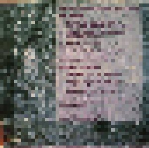 Vision, The + General Skaface: The Instrumental Healing Session (Split-LP) - Bild 2
