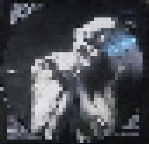 Sopor Aeternus & The Ensemble Of Shadows: Es Reiten Die Toten So Schnell (Or: The Vampyre Sucking At His Own Vein) (2-LP) - Bild 3