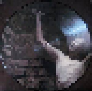 Sopor Aeternus & The Ensemble Of Shadows: Es Reiten Die Toten So Schnell (Or: The Vampyre Sucking At His Own Vein) (2-LP) - Bild 4