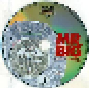 Mr. Big: Back To Budokan (2-CD + 2-DVD) - Bild 6