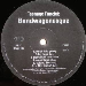 Teenage Fanclub: Bandwagonesque (LP) - Bild 4