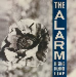 The Alarm: Electric Folklore Live (CD) - Bild 1