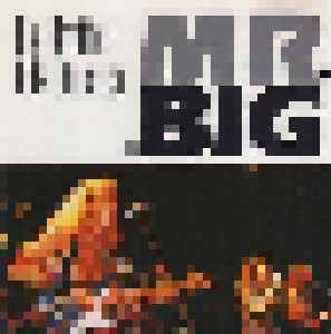 Cover - Mr. Big: Big Brother Hits America