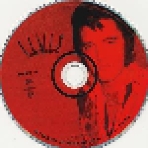 Elvis Presley: The Essential 70's Masters - Walk A Mile In My Shoes (5-CD) - Bild 8
