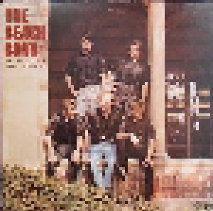 The Beach Boys: Be True To Your School (LP) - Bild 1