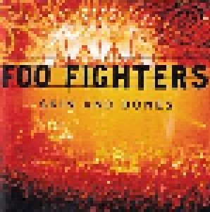 Cover - Foo Fighters: Skin And Bones