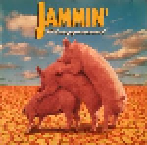 Cover - Jammin': Playground