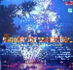 Cover - Reiner Schöne & Ensemble: Wunderbar, Wunderbar... 32 Beliebte Und Bekannte Musical-Melodien