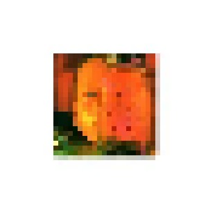 Alice In Chains: Jar Of Flies / Sap (2-Mini-CD / EP) - Bild 1