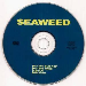 Seaweed: Measure (Single-CD) - Bild 5