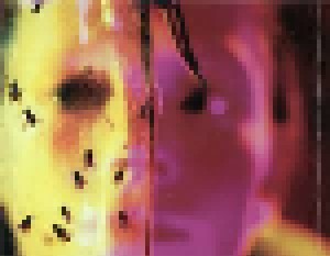 Alice In Chains: Jar Of Flies / Sap (2-Mini-CD / EP) - Bild 7