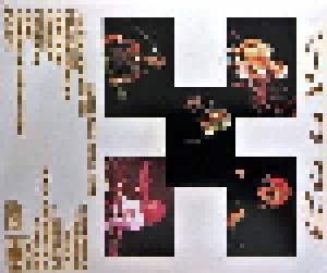 Def Leppard: "Slang" In Japan (CD) - Bild 2