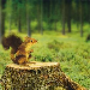 Pikku-Orava: Mei Siedie! (CD) - Bild 7