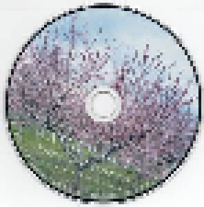 Washed Out: Within And Without (CD) - Bild 3