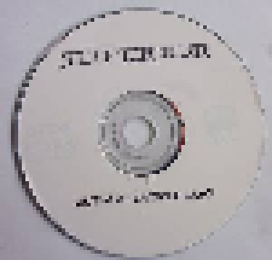 Superior: Ultima Ratio Demo (Promo-Mini-CD-R / EP) - Bild 3