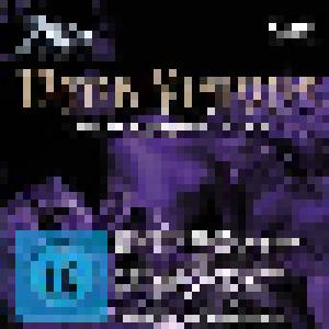 Zillo - Dark Visions / Die Clip-Highlights Von 2010 - Cover