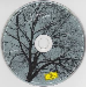 Tori Amos: Night Of Hunters (CD + DVD) - Bild 3