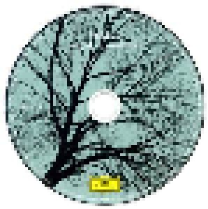 Tori Amos: Night Of Hunters (CD) - Bild 3