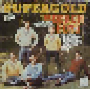 The Beach Boys: Supergold (LP) - Bild 1