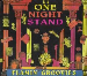 The Flamin' Groovies: One Night Stand (CD) - Bild 1