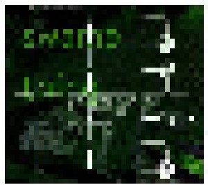 The Grid: Swamp Thing (Single-CD) - Bild 1