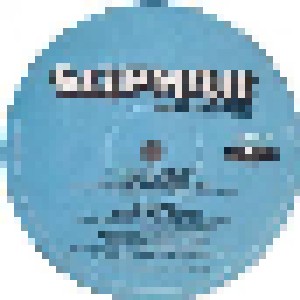Slipmatt Takes Control (2-LP) - Bild 3