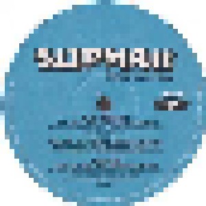 Slipmatt Takes Control (2-LP) - Bild 6