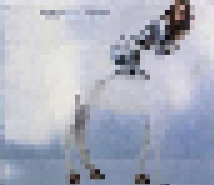 Tori Amos: Winter (Single-CD) - Bild 1