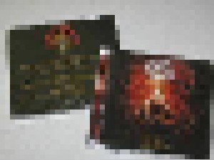 Molested: Blood-Draum (2-CD) - Bild 2