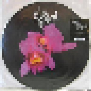 Opeth: Orchid (2-PIC-LP) - Bild 1