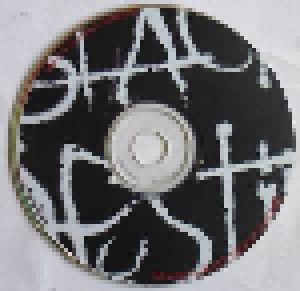 Black Destiny: Promo 2002 - Carpe Noctem (Demo-Mini-CD-R / EP) - Bild 3