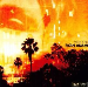Ryan Adams: Ashes & Fire (LP) - Bild 1
