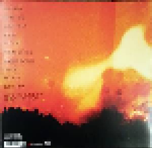 Ryan Adams: Ashes & Fire (LP) - Bild 2
