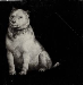 Pavlov's Dog: At The Sound Of The Bell (LP) - Bild 5