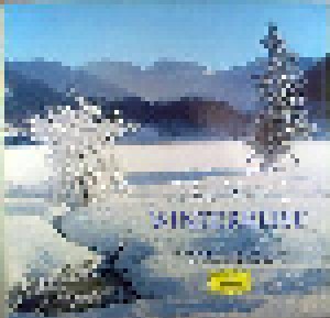 Franz Schubert: Winterreise (2-LP) - Bild 1