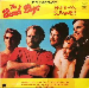 The Beach Boys: Endless Summer (LP) - Bild 1