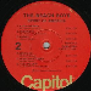 The Beach Boys: Spirit Of America (2-LP) - Bild 4