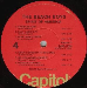 The Beach Boys: Spirit Of America (2-LP) - Bild 6