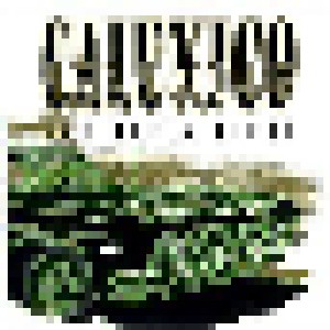 Calexico: The Black Light (CD) - Bild 1
