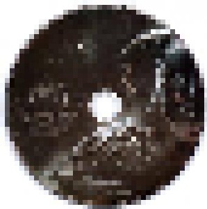 Jeremy Soule: The Elder Scrolls V - Skyrim: Featured Music Selections (Promo-Mini-CD / EP) - Bild 3
