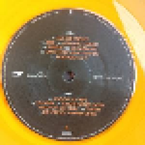 Flo Mega: Die Wirklich Wahren Dinge (LP + CD) - Bild 4