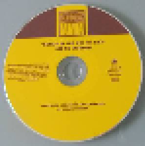 Stevie Wonder: Songs In The Key Of Life (2-CD) - Bild 3