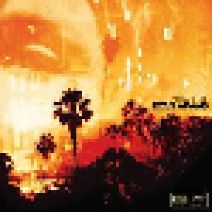 Ryan Adams: Ashes & Fire (CD) - Bild 1