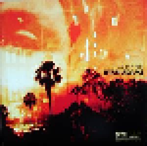 Ryan Adams: Ashes & Fire (LP) - Bild 1