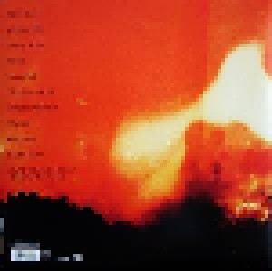 Ryan Adams: Ashes & Fire (LP) - Bild 3