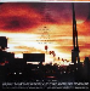 Ryan Adams: Ashes & Fire (LP) - Bild 7
